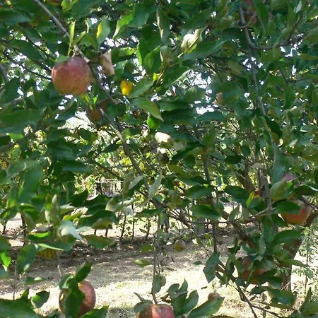 Casa Do Tamanqueiro Estoraos (Viana do Castelo)