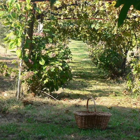 Casa Do Tamanqueiro * Estoraos (Viana do Castelo)