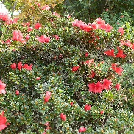 Vakantiehuis Casa Do Tamanqueiro Estoraos (Viana do Castelo)