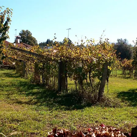 Vakantiehuis Casa Do Tamanqueiro Estoraos (Viana do Castelo)