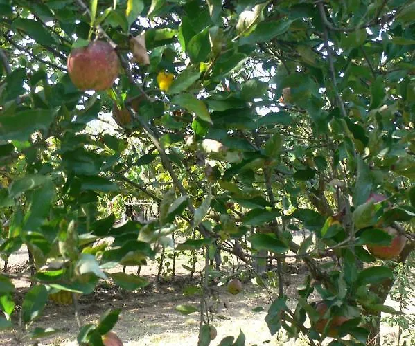 Casa Do Tamanqueiro Estoraos (Viana do Castelo)