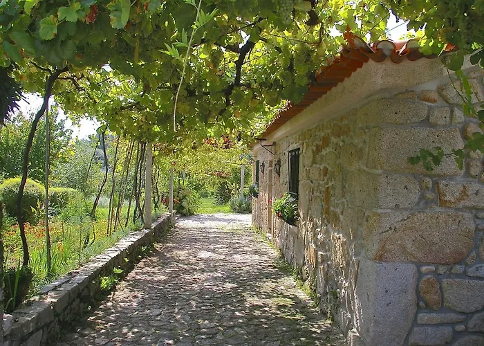 Dom wakacyjny Casa Do Tamanqueiro *