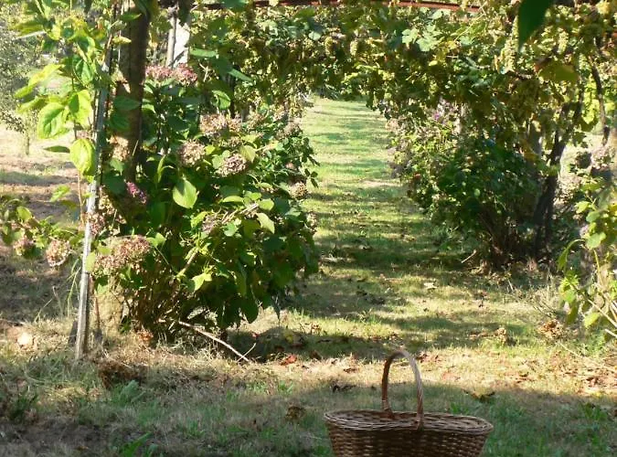 Casa Do Tamanqueiro * Estoraos (Viana do Castelo)