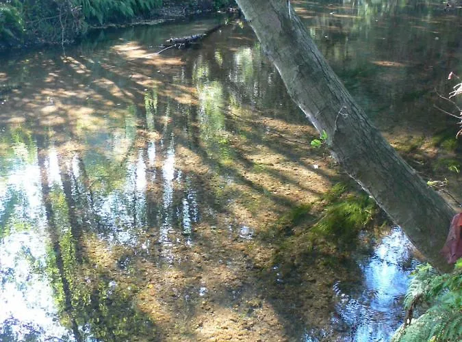 Сasa de vacaciones Casa Do Tamanqueiro