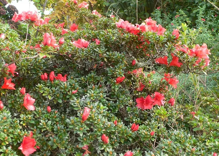 Casa vacanze Casa Do Tamanqueiro Estoraos (Viana do Castelo)