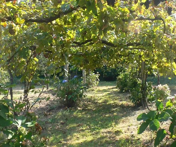 Сasa de vacaciones Casa Do Tamanqueiro Estoraos (Viana do Castelo)