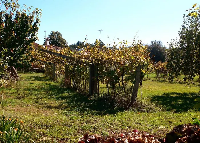Сasa de vacaciones Casa Do Tamanqueiro Estoraos (Viana do Castelo)