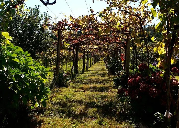 Casa Do Tamanqueiro Сasa de vacaciones